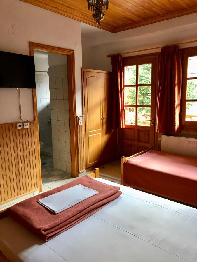 Apostolos Hotel เมทโซโว ภายนอก รูปภาพ