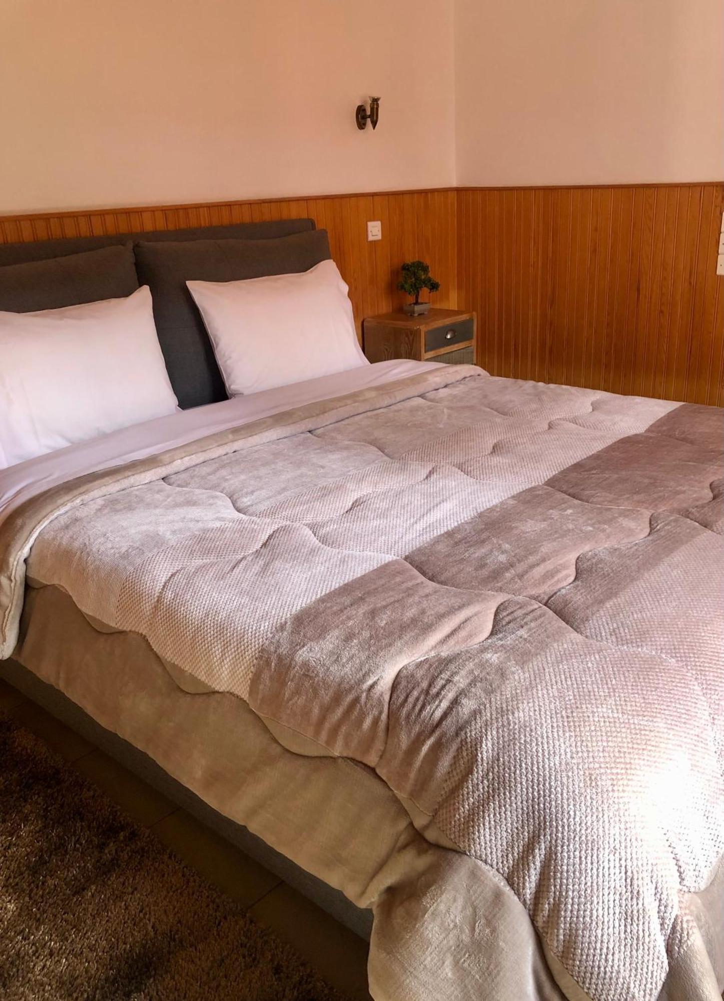 Apostolos Hotel เมทโซโว ภายนอก รูปภาพ